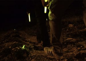 Nachtwanderung mit Leuchtstäben